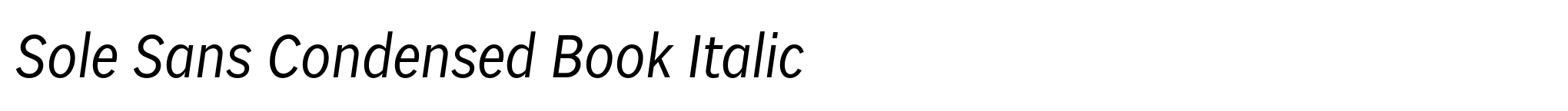Sole Sans Condensed Book Italic image